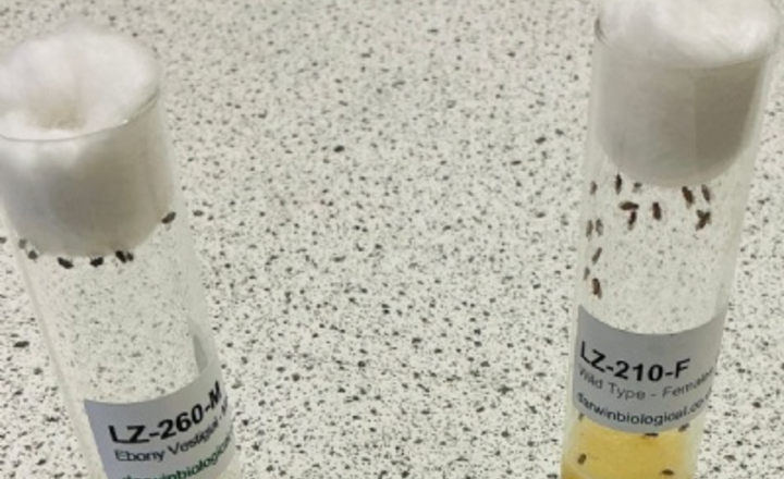 Image of A Biology Department first!