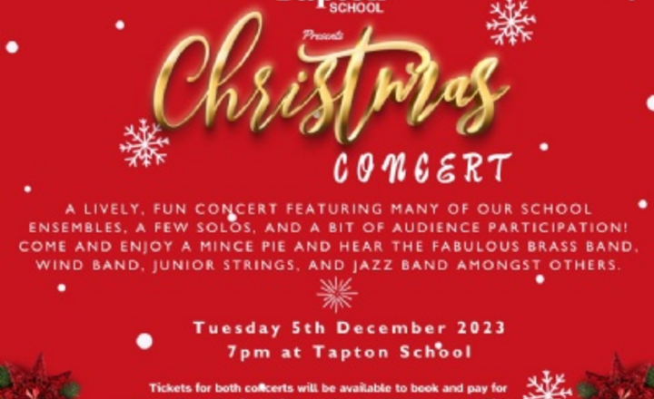 Image of Tapton School - Christmas Concert