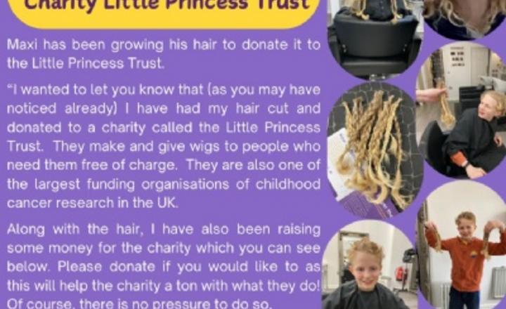 Image of Maxi Gets his Haircut for Charity Little Princess Trust