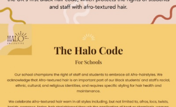 Image of The Halo Code