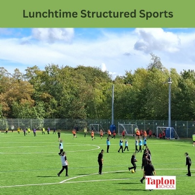 Image of Structured Sports