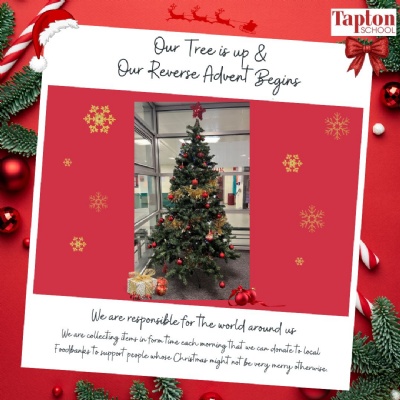 Image of Our Christmas Tree is Up... and our Reverse Advent Begins!