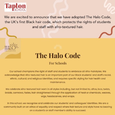 Image of The Halo Code