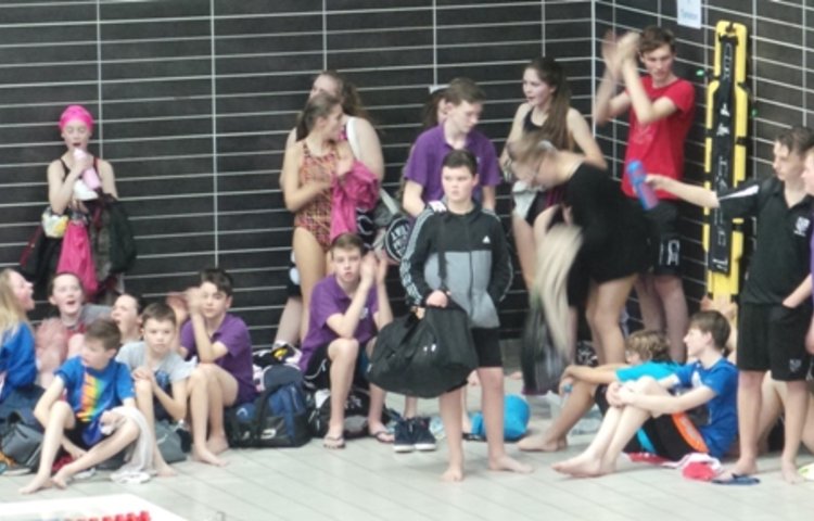 Image of District Swimming Gala February 2015