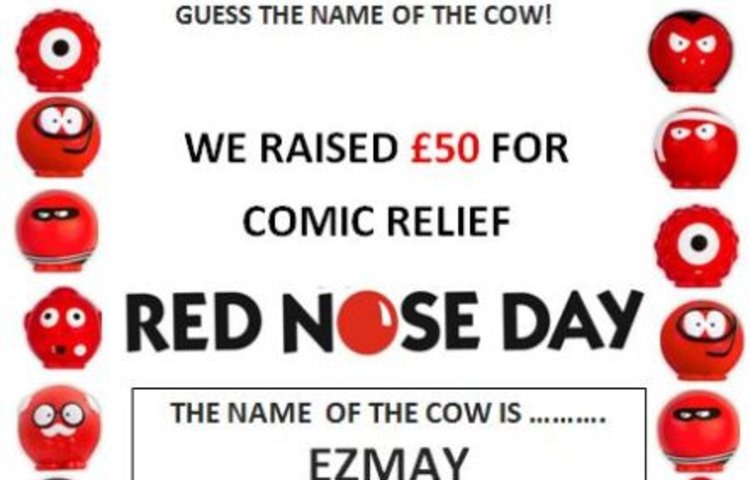 Image of Red Nose Day 2015