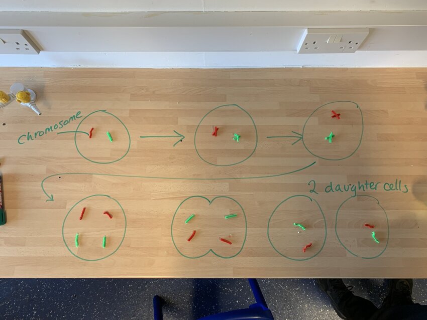 KS4 Science