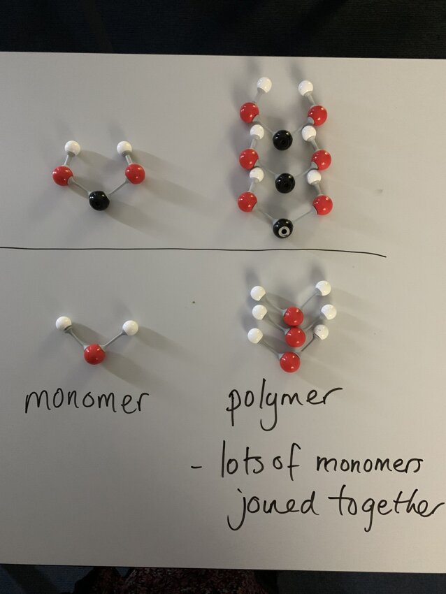 Key Stage 3 Science