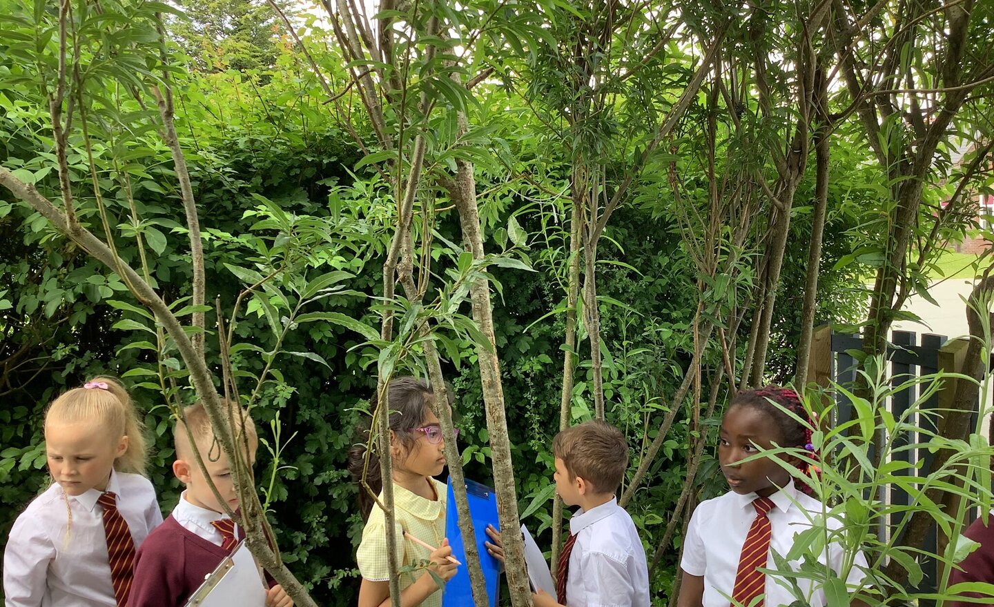 Image of Our School Garden