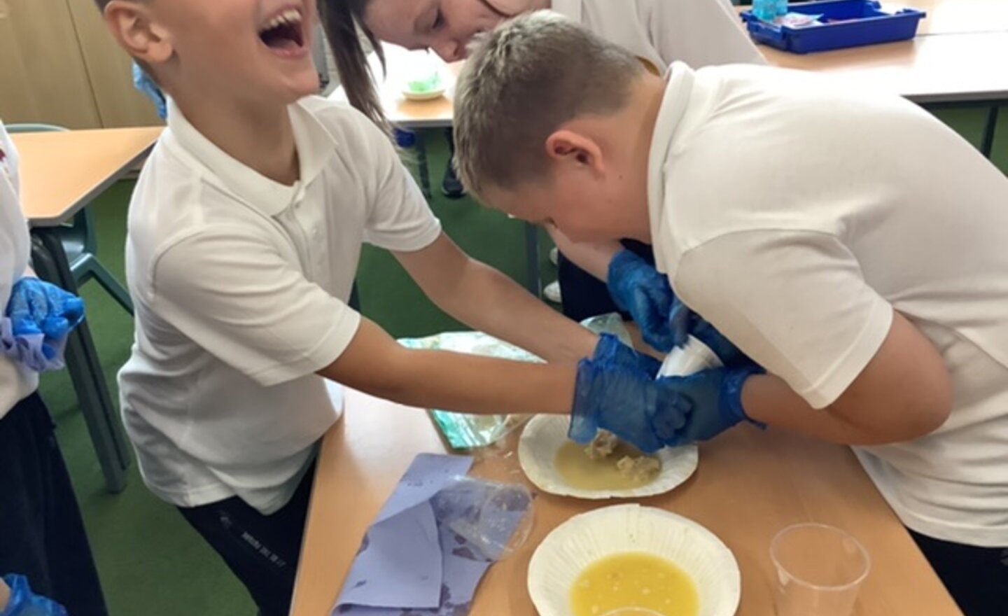 Image of Learning about the Digestive System in 4S