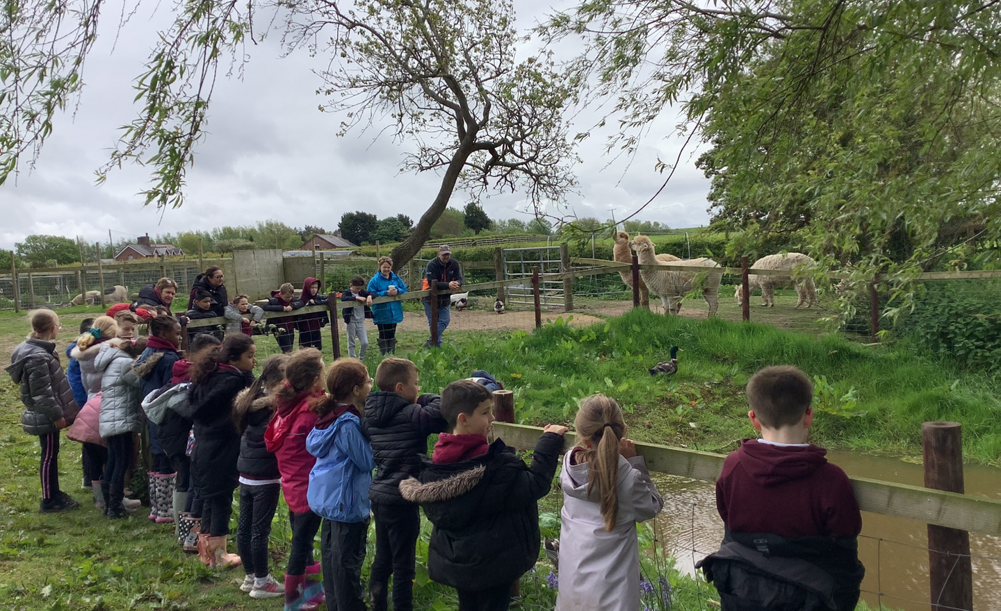 Image of Year 3 Sacrament Farm Trip