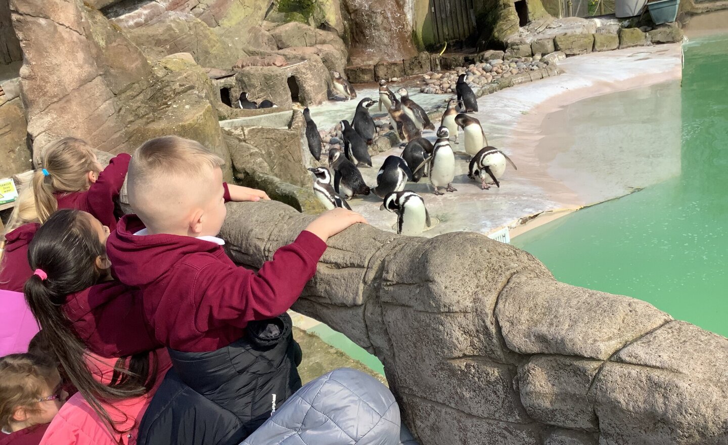 Image of Blackpool Zoo