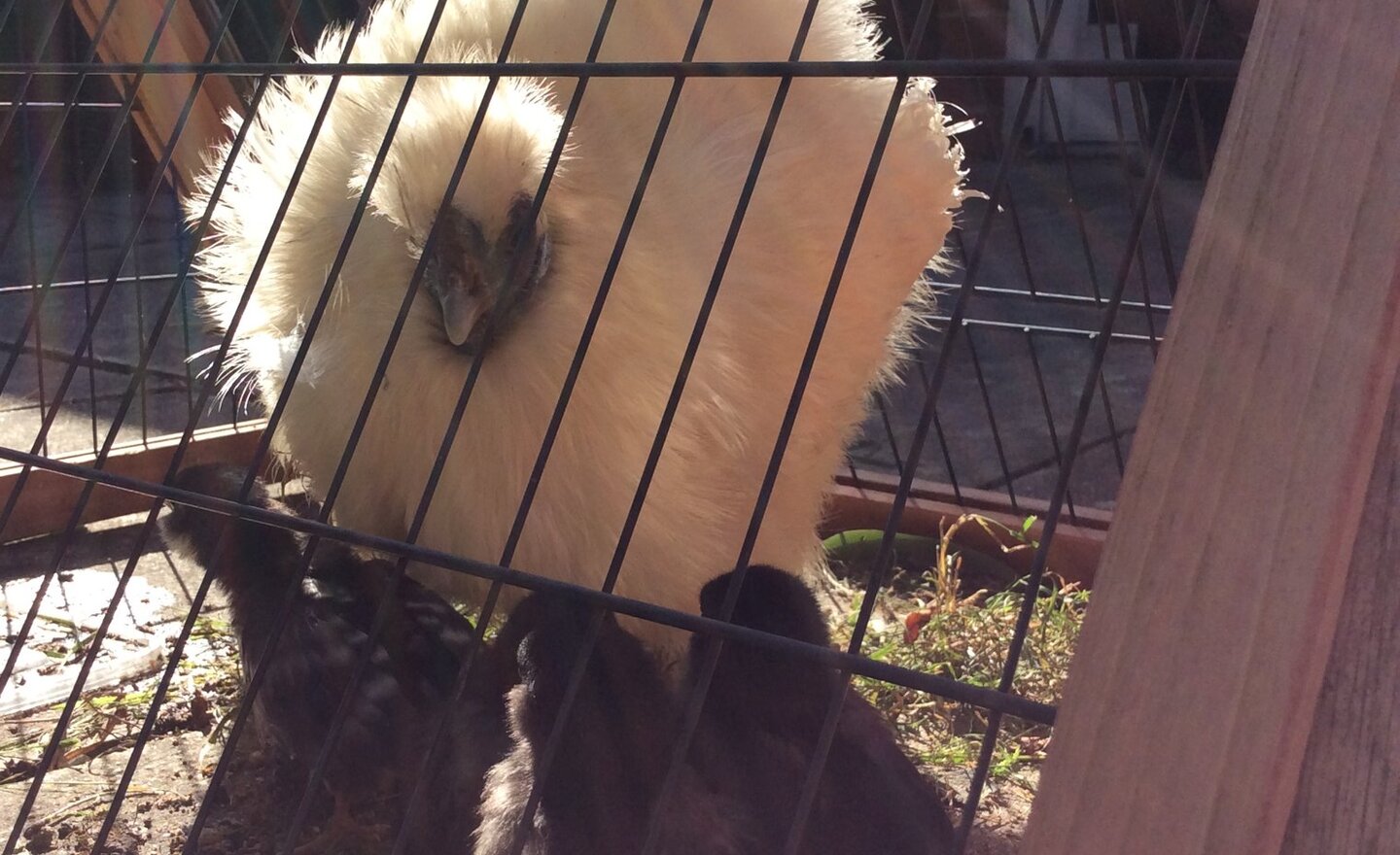 Image of Science in Y2