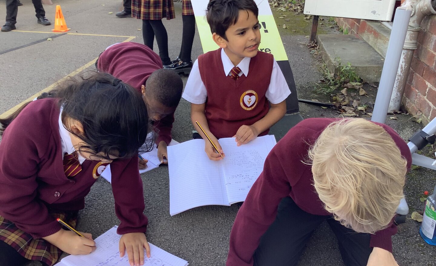 Image of 3S Science Investigation