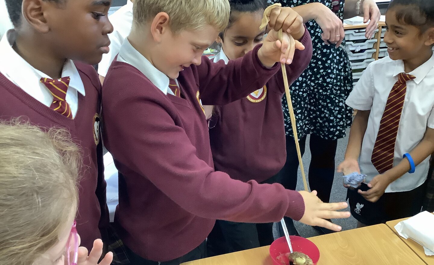 Image of Year 4 Science 