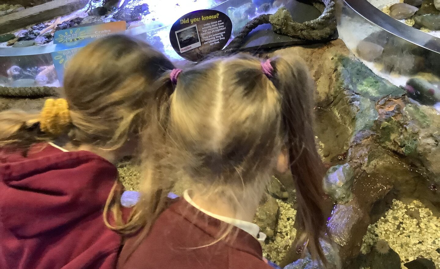 Image of Sealife Centre Blackpool