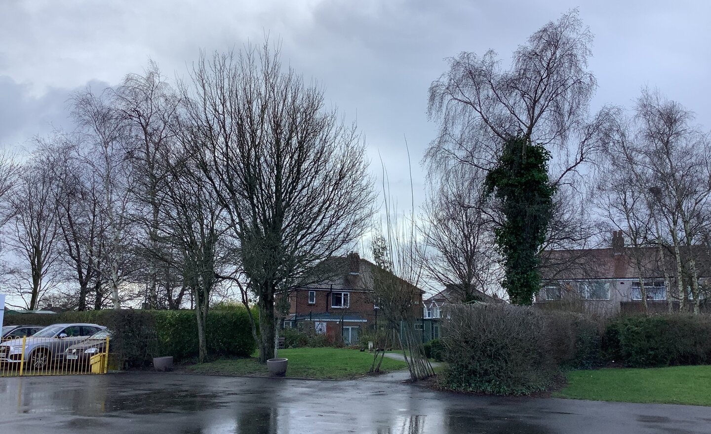 Image of Winter walk