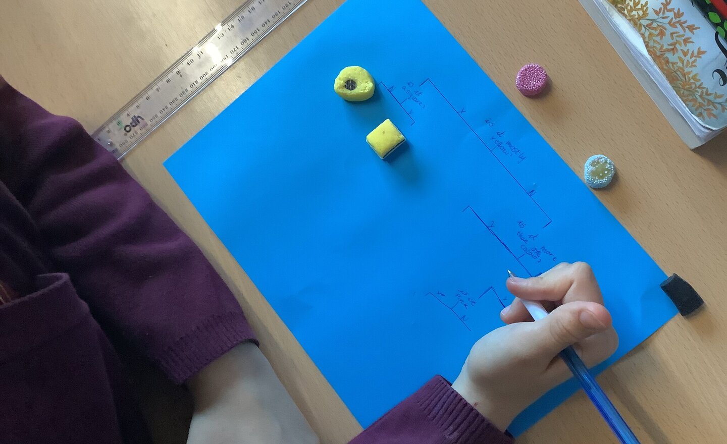 Image of Sweet Science