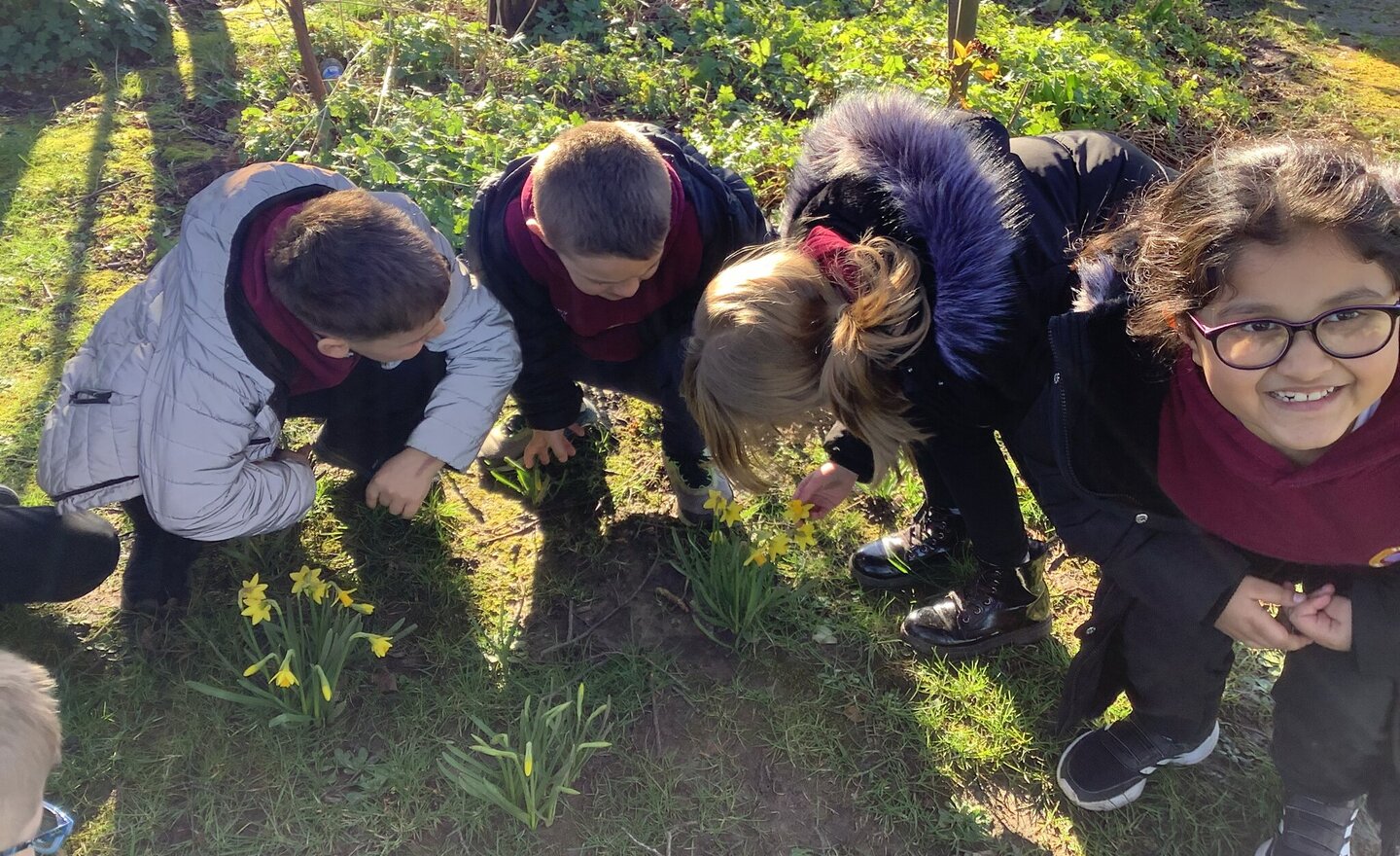 Image of Germination Hunt