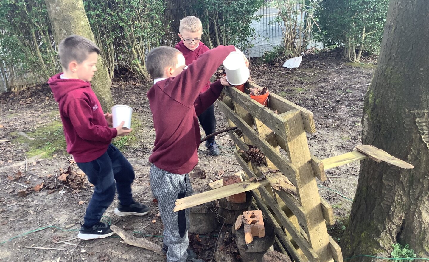 Image of Our Bug Hotels