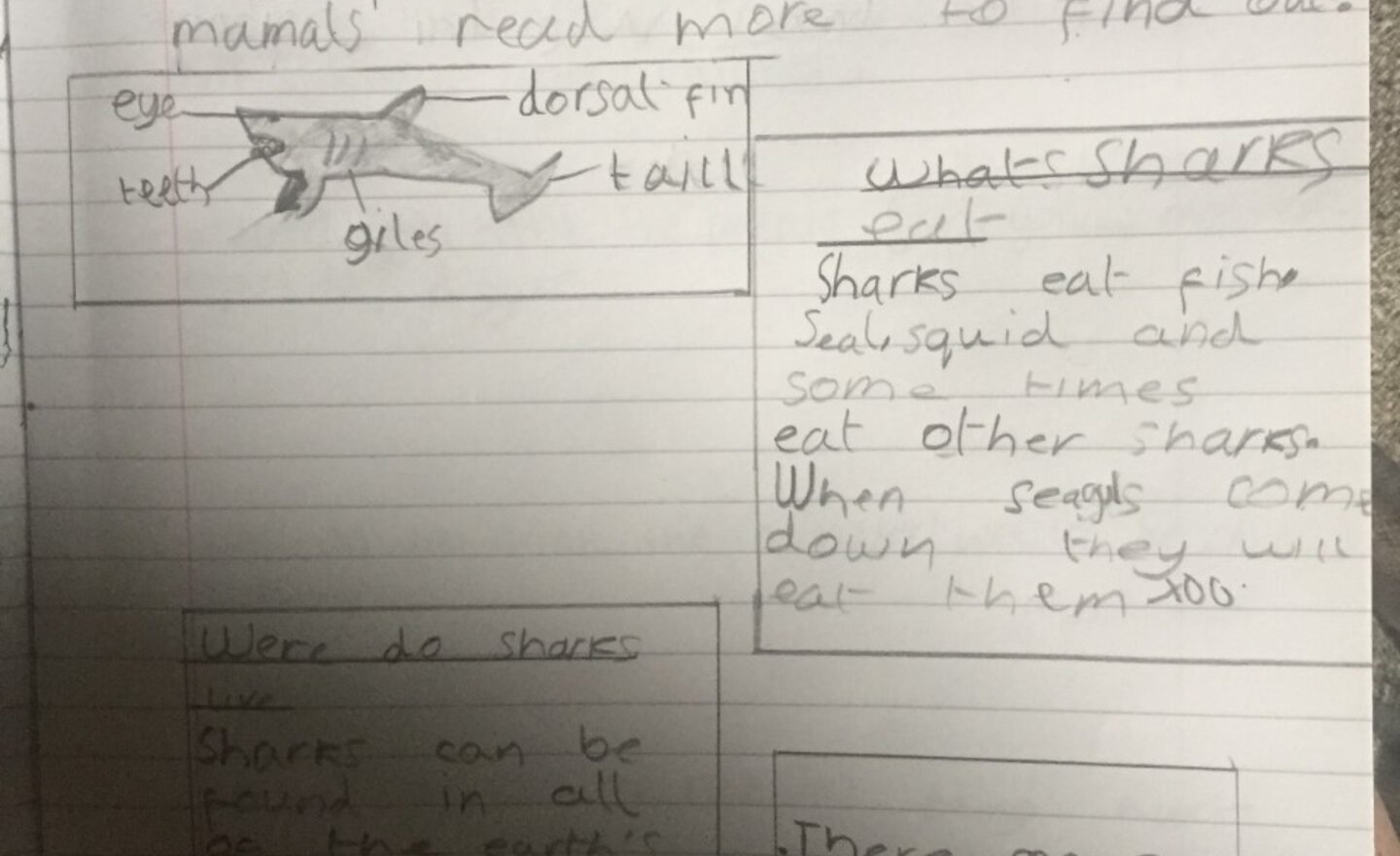 Image of Animal Report