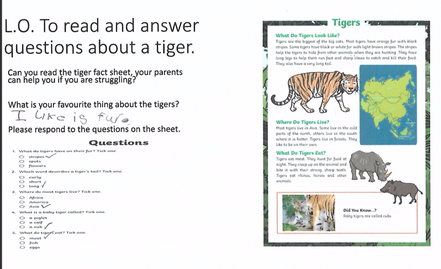 Image of 1B Home Learning