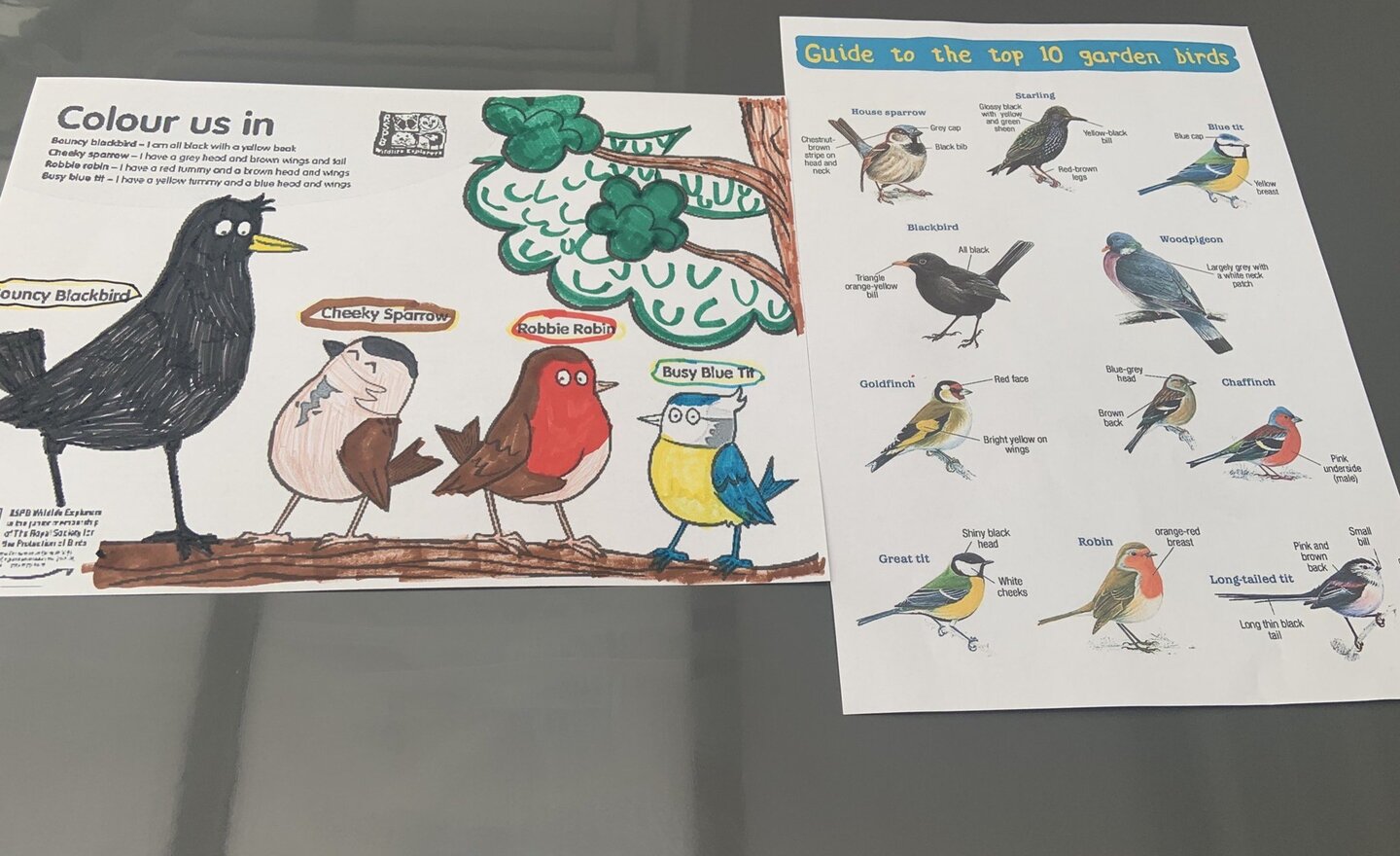 Image of 4B Home learning