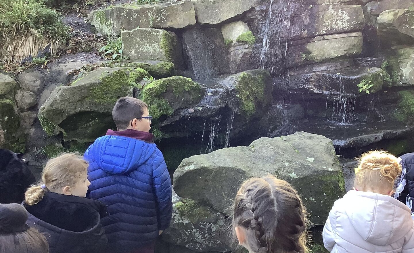 Image of Walk in Moor Park