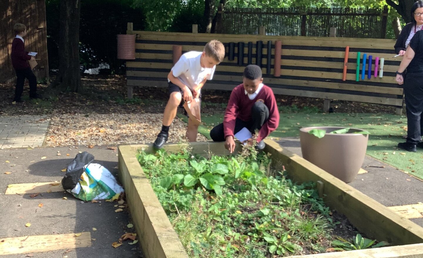 Image of Exploring God's creation