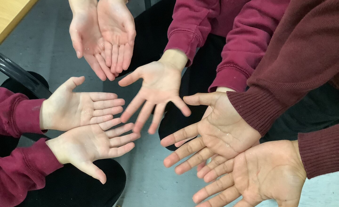 Image of Hygiene rules