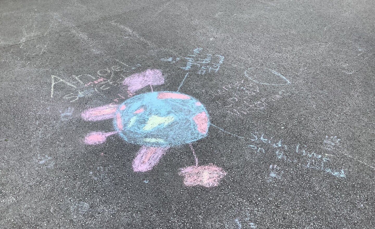 Image of First Week in Year 6