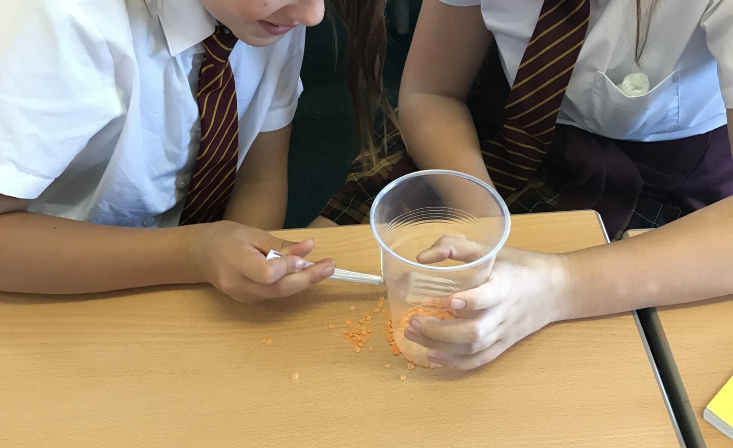 Image of SCIENCE - Adaptation - Birds' Beak Investigation