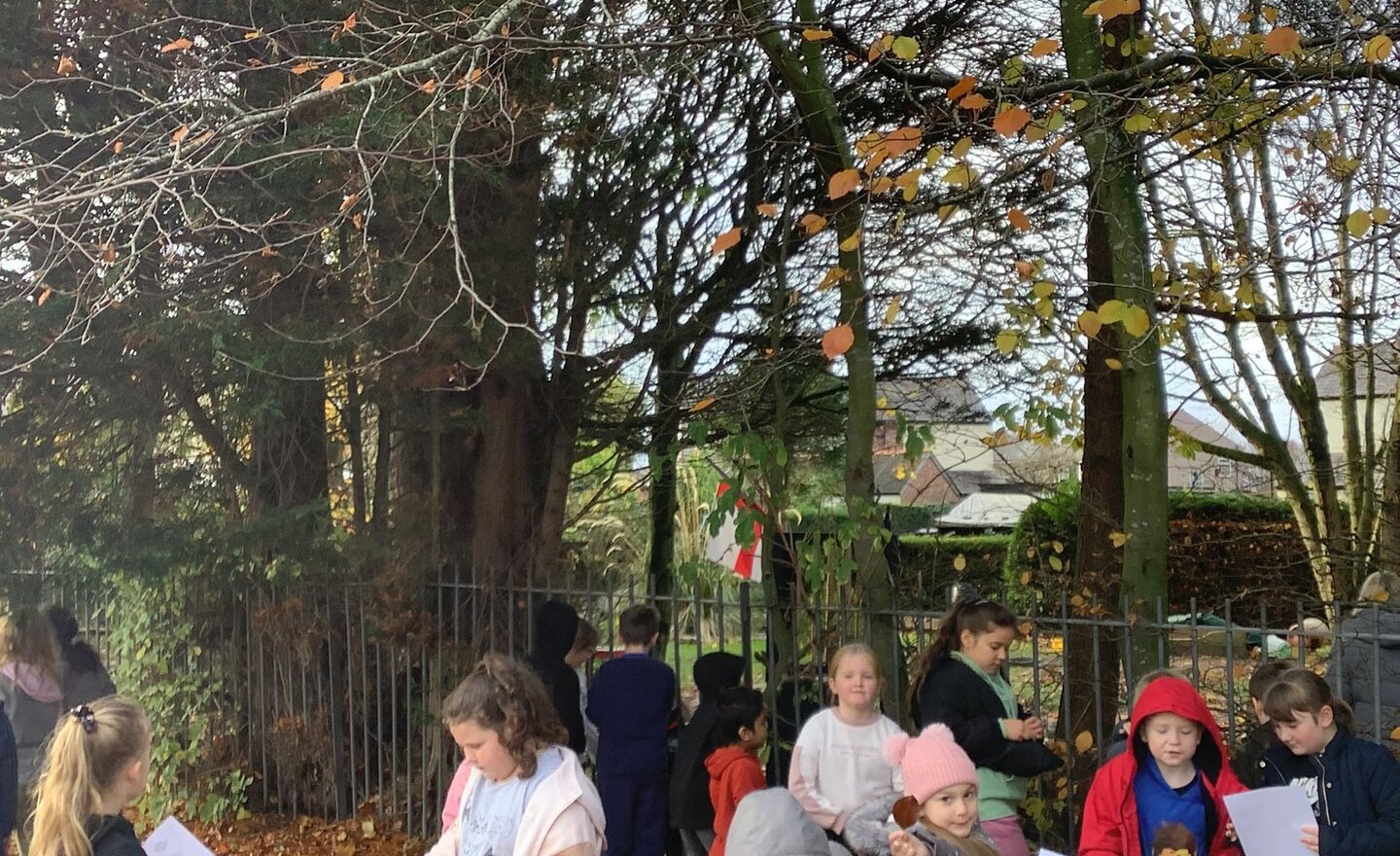 Image of 4B Outdoors Fun