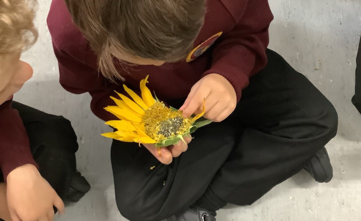 Image of Our first week in Year 2