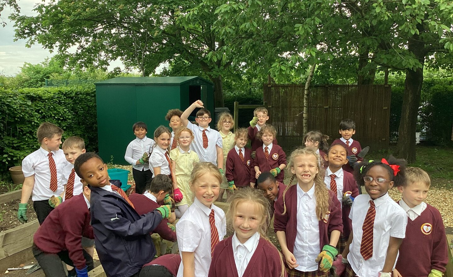 Image of 3B planting in the garden 