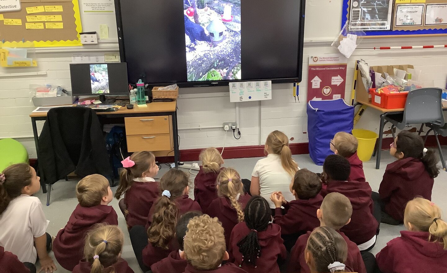 Image of Animal Lifecycles