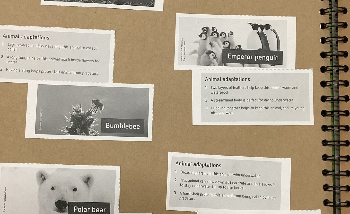 Image of Science week