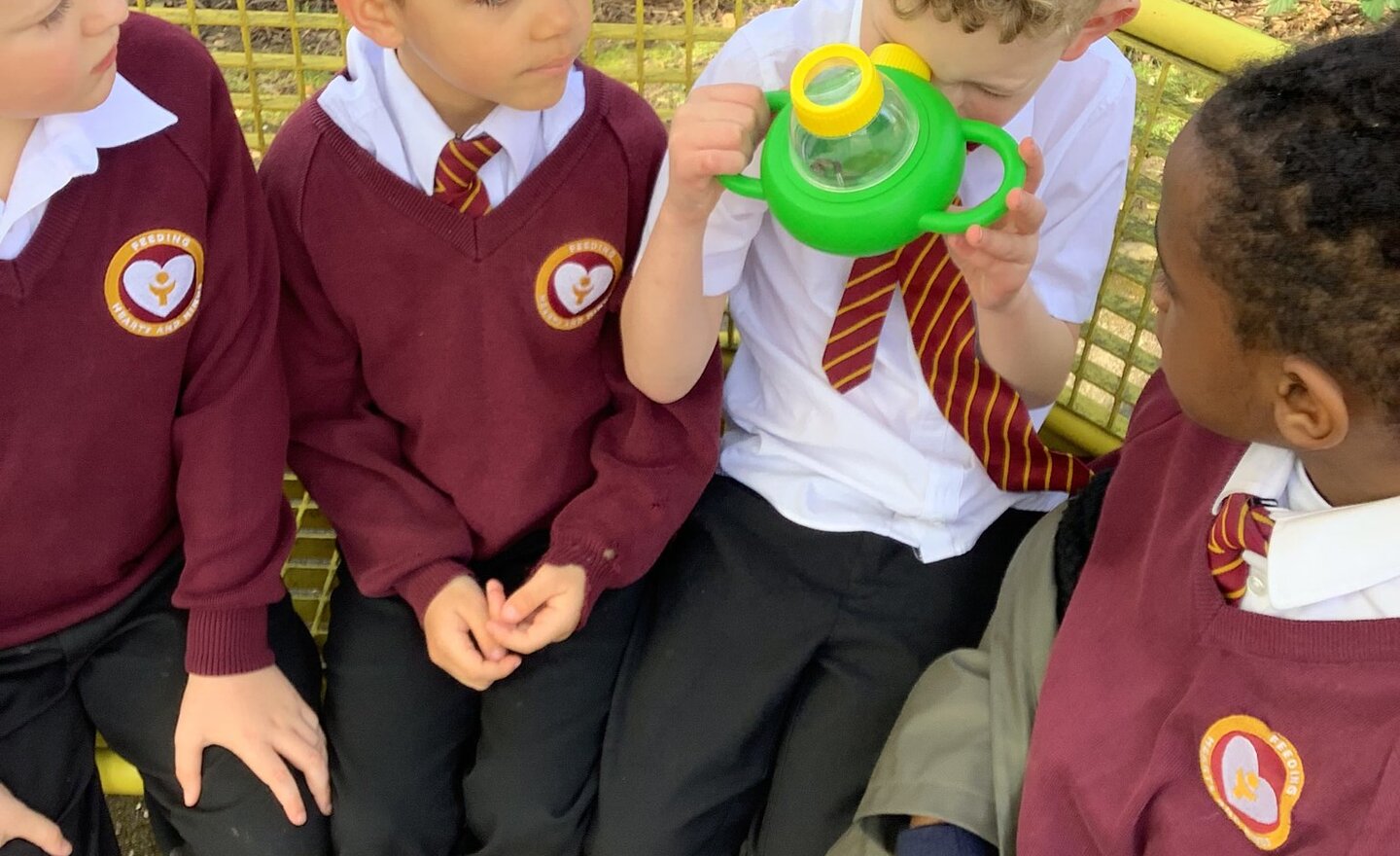 Image of Woodlice enquiry