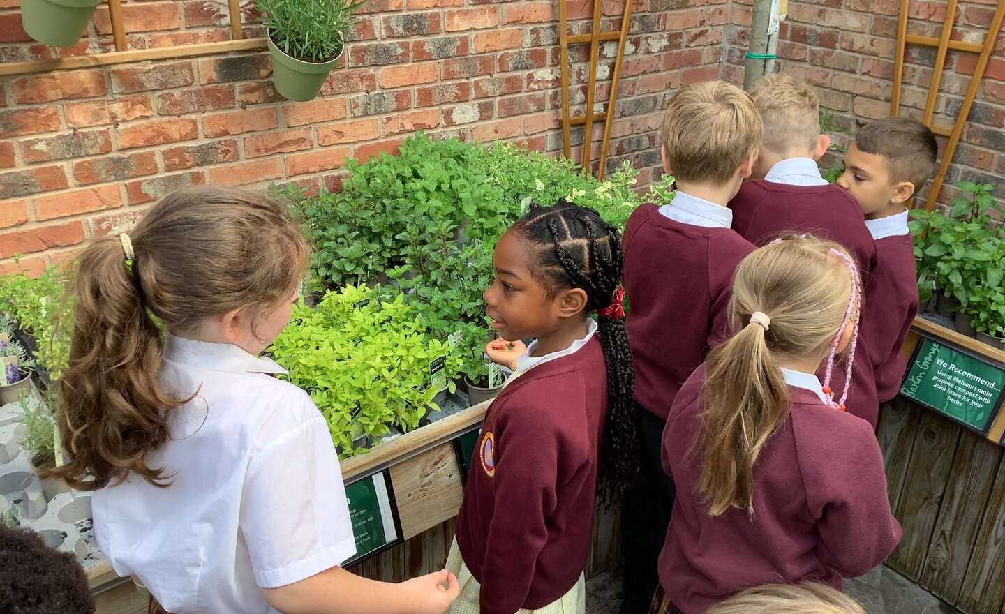 Image of Barton Grange