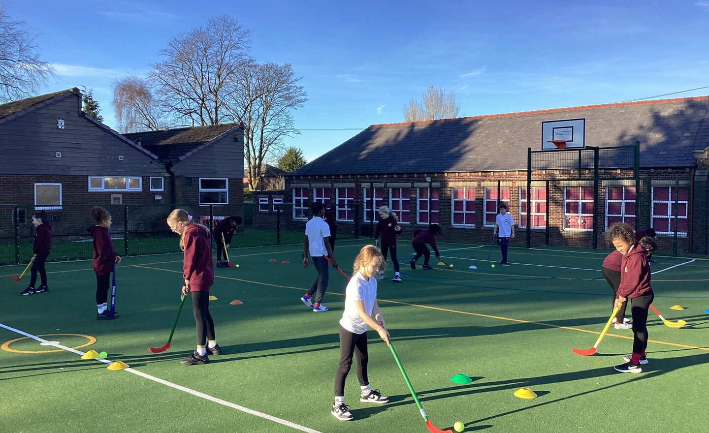 Image of Hockey in the Winter Sun