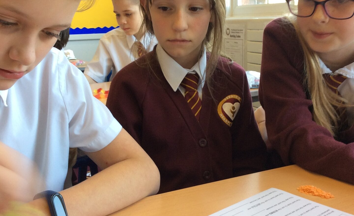 Image of 6S - Science Adaptation and Evolution