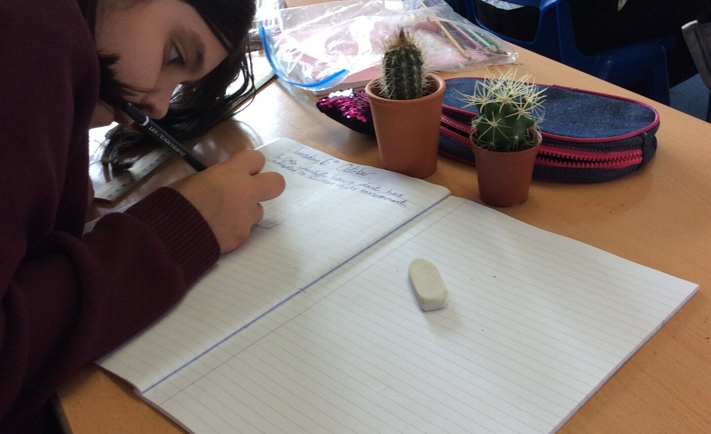 Image of Survival - the cactus.