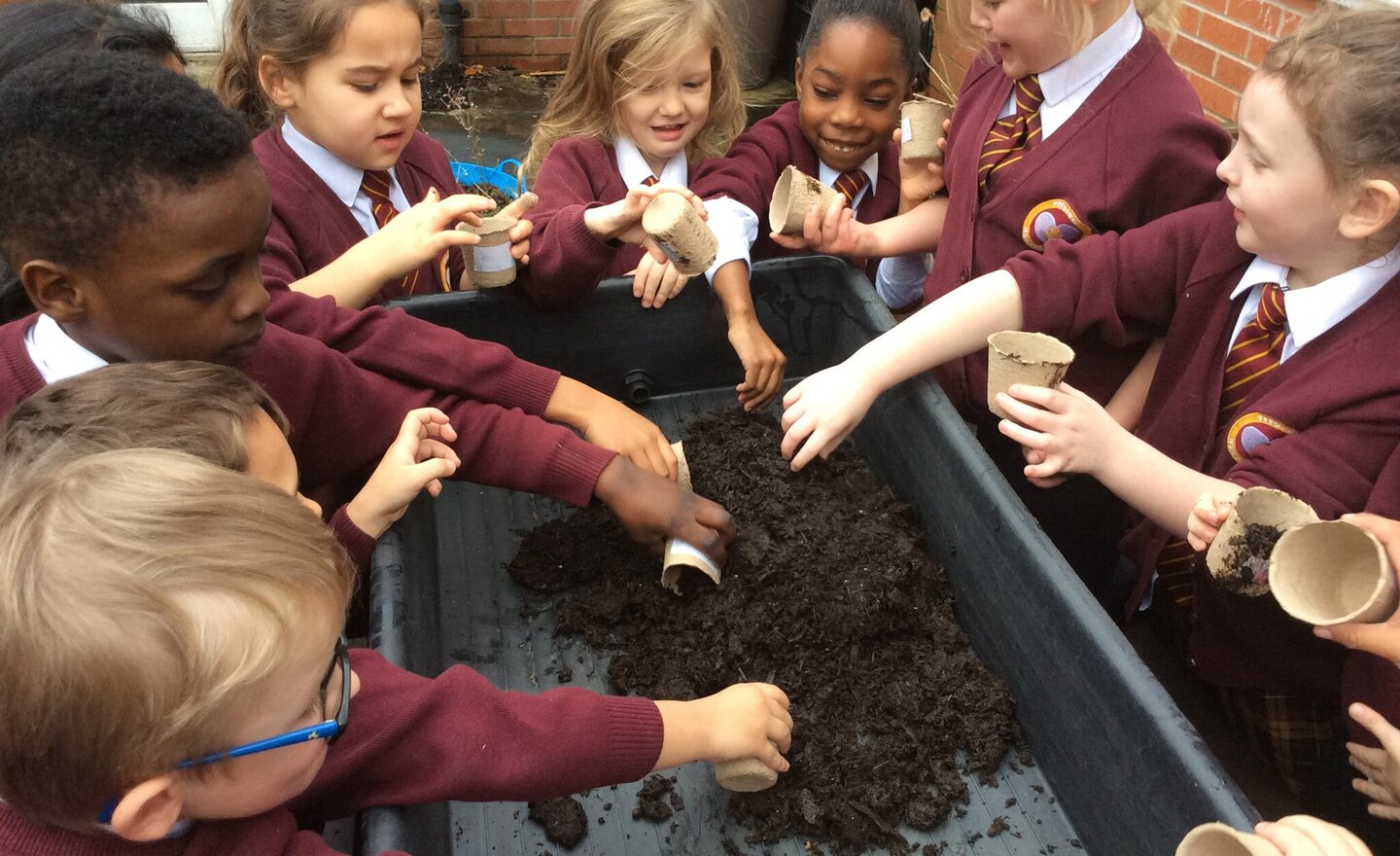 Image of Planting Bulbs