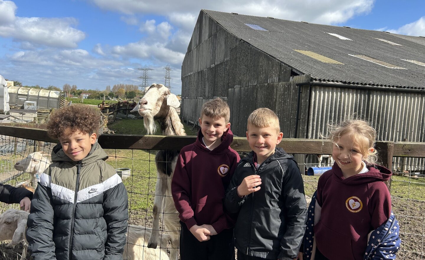 Today we went to Ridgeway Farm and had such a fun day! We learnt lots of interesting facts we never knew before, we got to feed all the farm animals and we even saw a lamb that was only born yesterday! We loved our trip to the farm! 