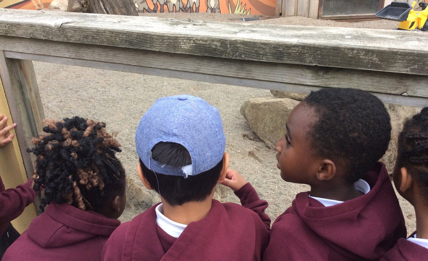 Image of Bowland Wild Boar Park YRS