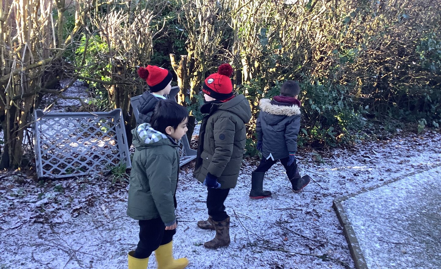 Image of There's a dinosaurs in our school!