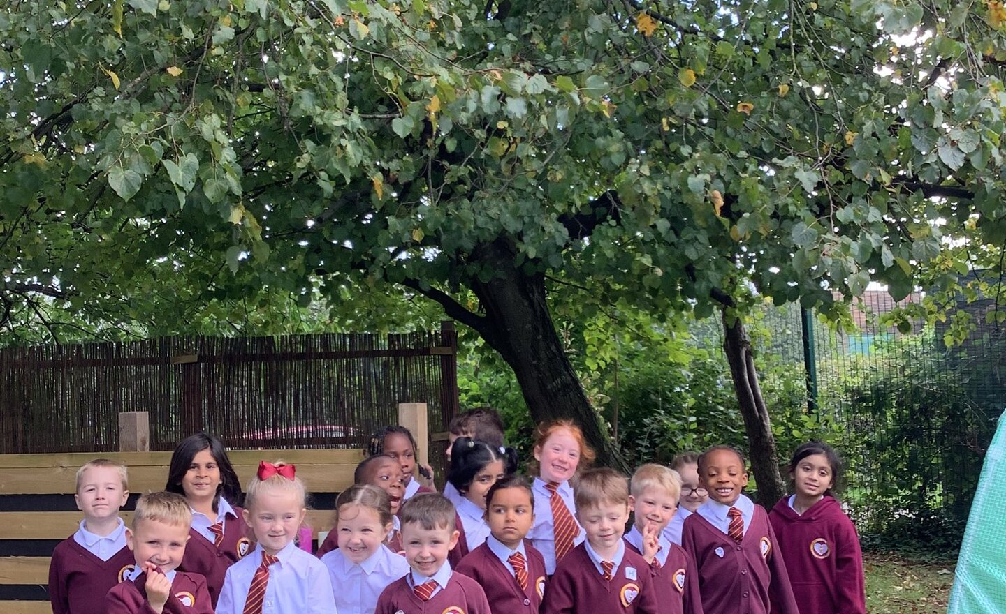 Image of Our Class Tree