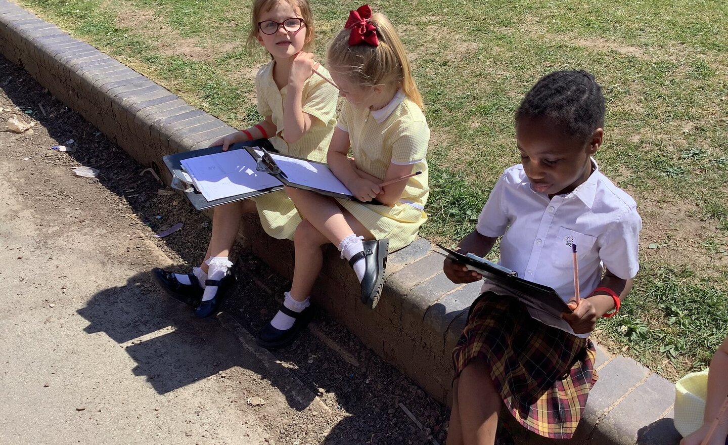 Image of Plants in our school grounds