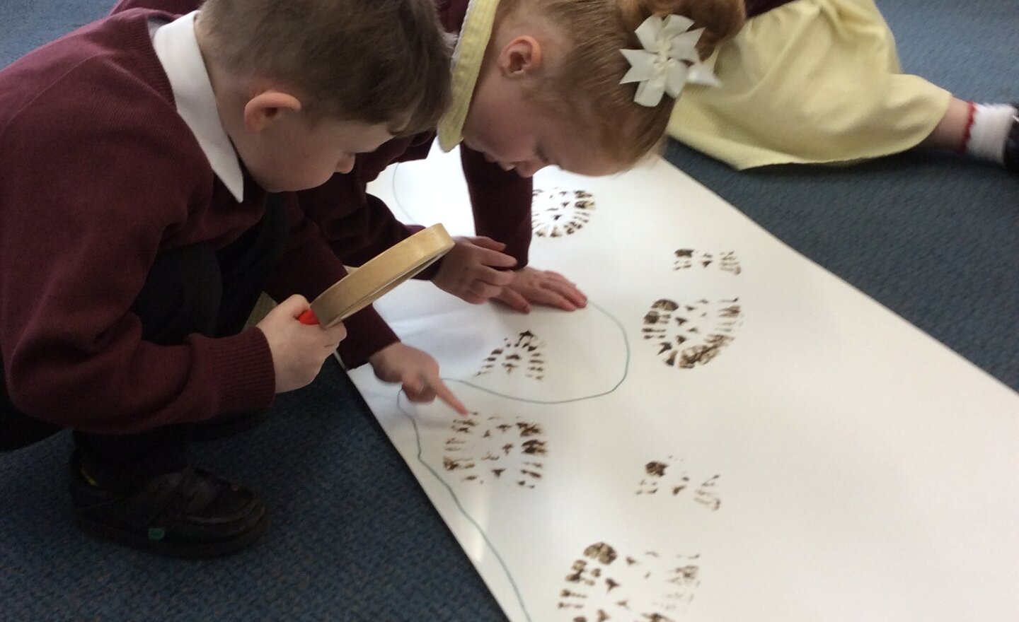 Image of Tuesdays Mystery Parcel