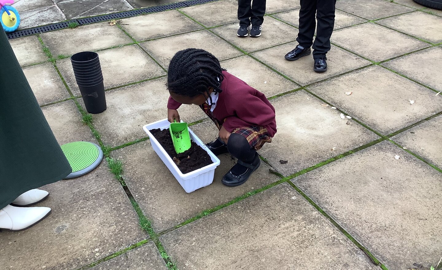 Image of Planting bulbs