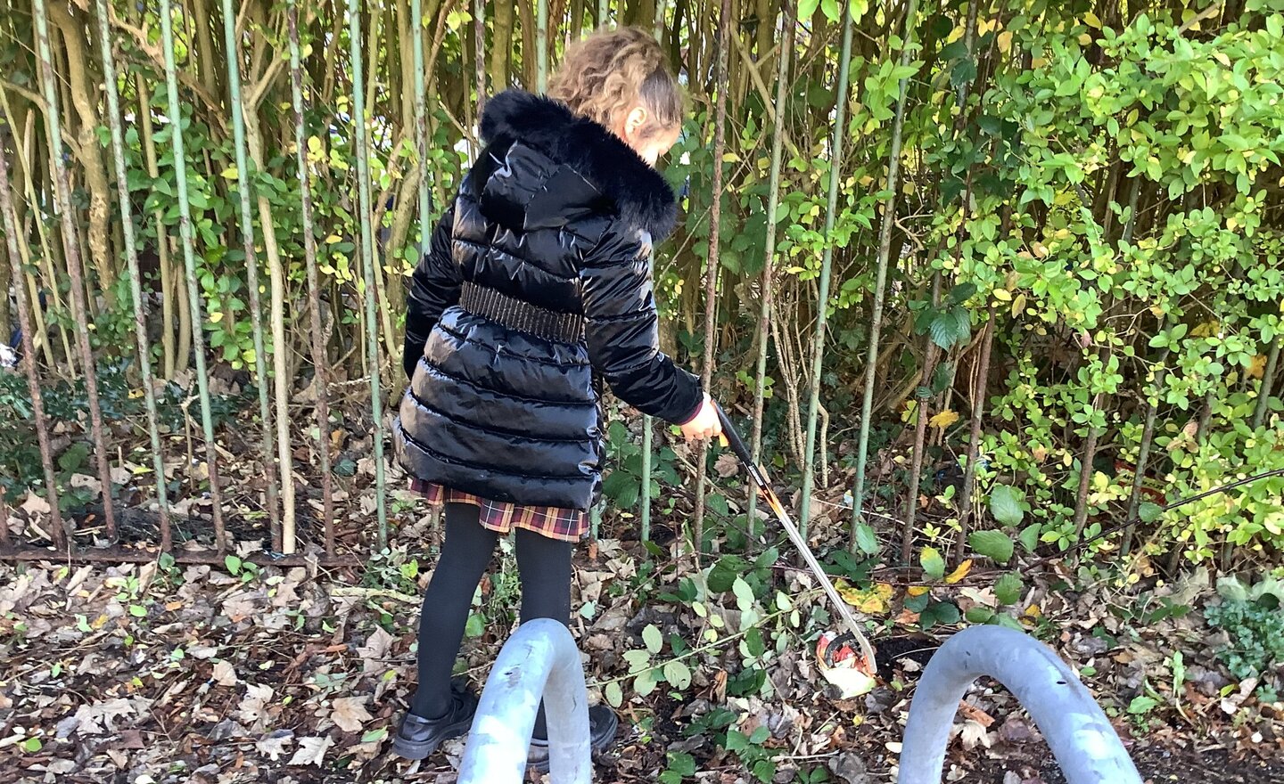 Image of Looking After God’s World